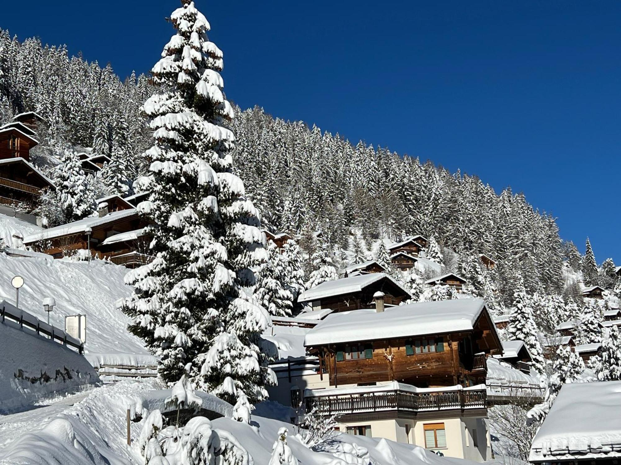 Chalet Etoile Grimentz Exterior foto
